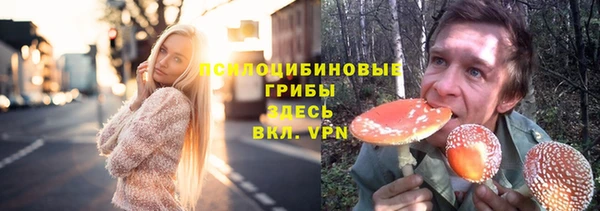скорость Ладушкин