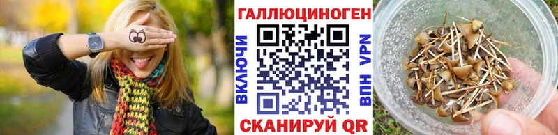 Галлюциногенные грибы прущие грибы  цена наркотик  Рудня 